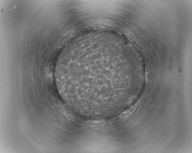 X0000088200771200706051231