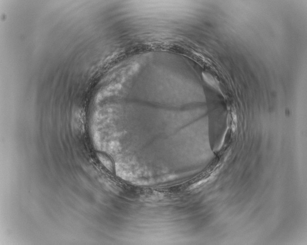 X0000088200772200706051231