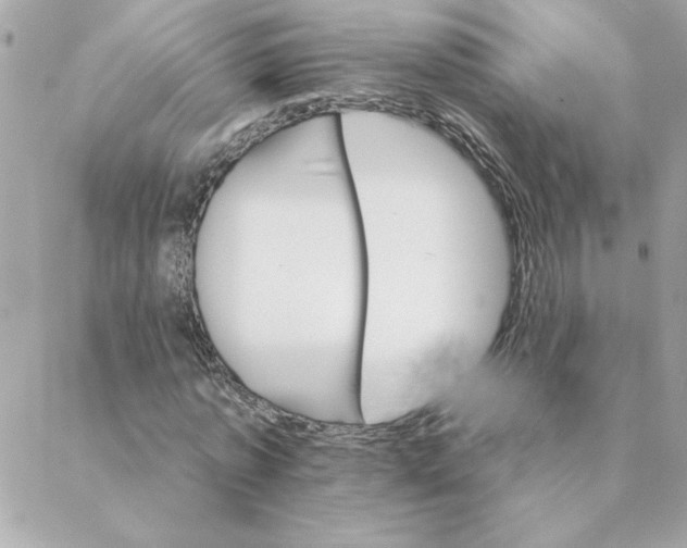 X0000088200773200706051231