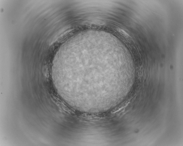 X0000088200774200706051231