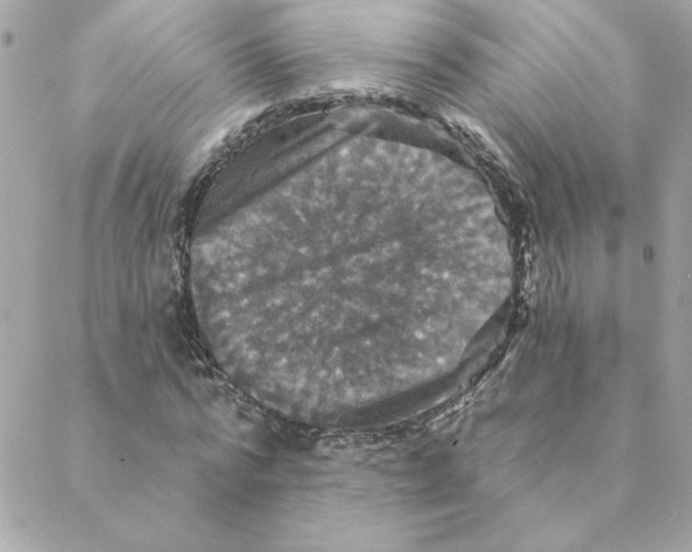 X0000088200776200706051231