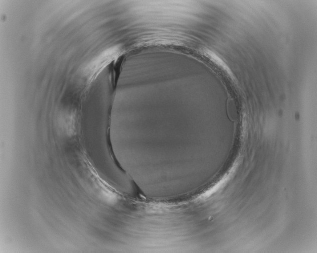 X0000088200777200706051231