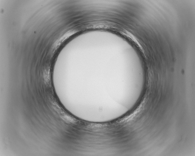 X0000088200778200706051231