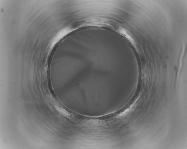 X0000088200779200706051231