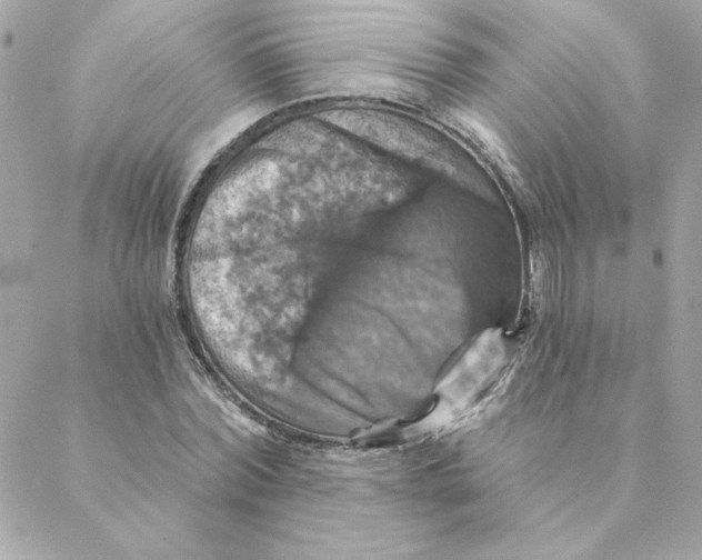 X0000088200780200706051231