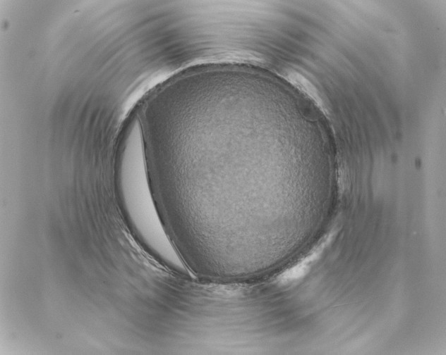 X0000088200781200706051231