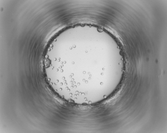 X0000088200782200706051231