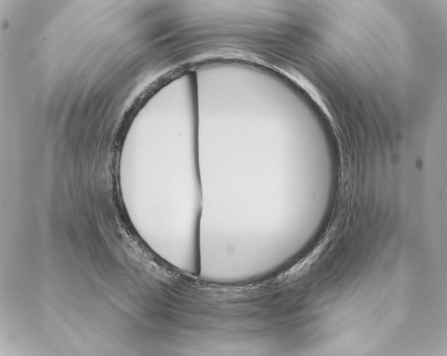 X0000088200783200706051231