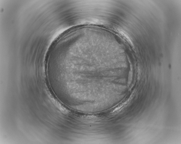 X0000088200784200706051231