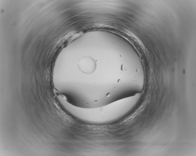 X0000088200785200706051231