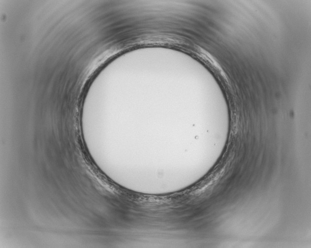 X0000088200786200706051231