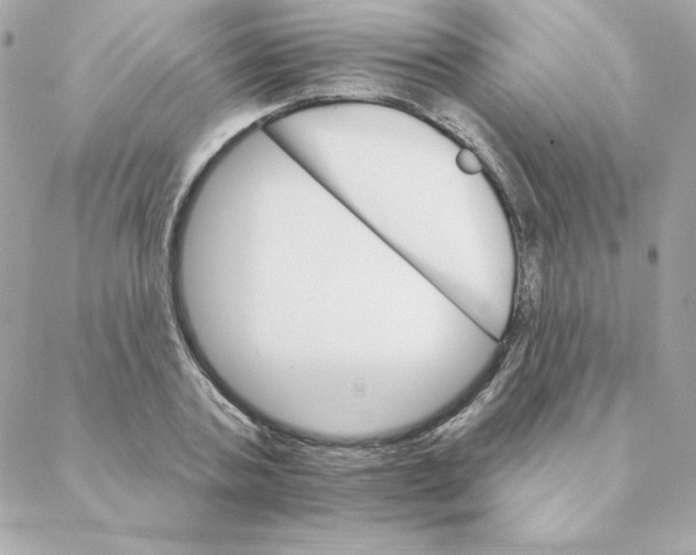 X0000088200787200706051231