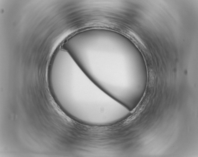 X0000088200788200706051231