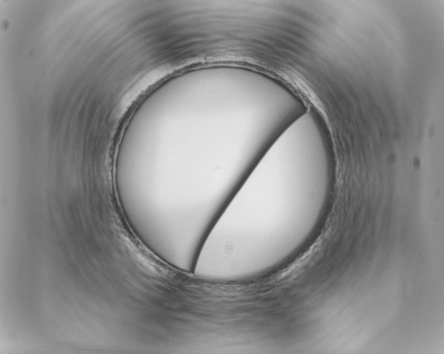 X0000088200789200706051231