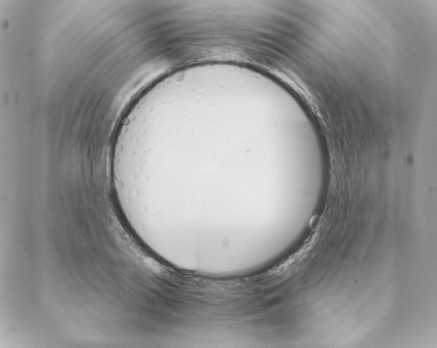 X0000088200790200706051231