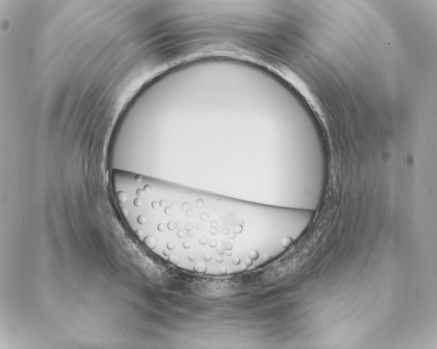 X0000088200791200706051230