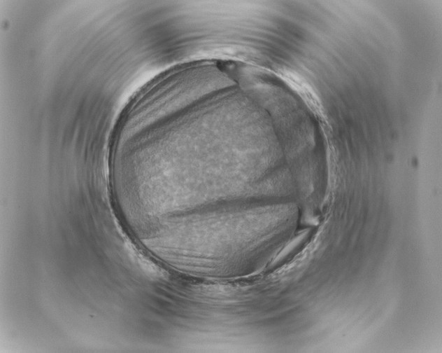 X0000088200792200706051230