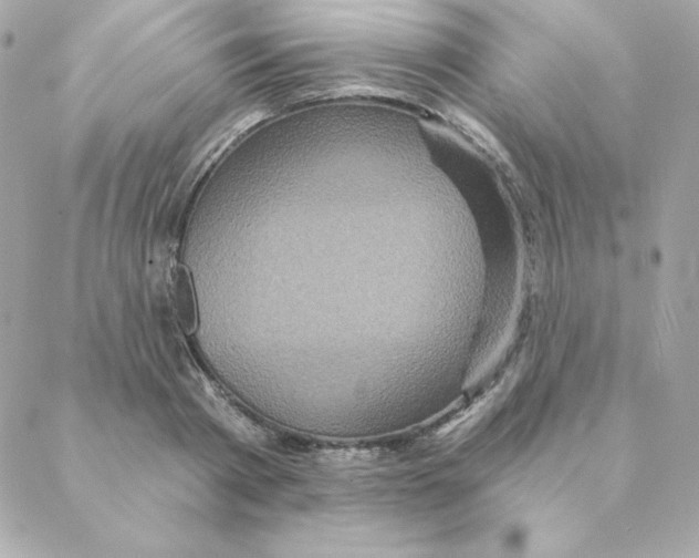 X0000088200793200706051230