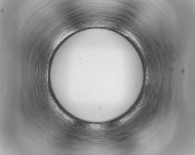 X0000088200794200706051230