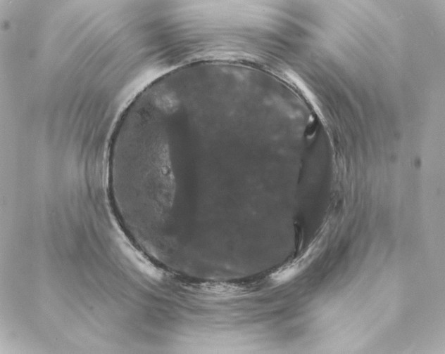 X0000088200795200706051230