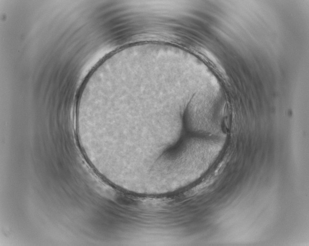 X0000088200796200706051230