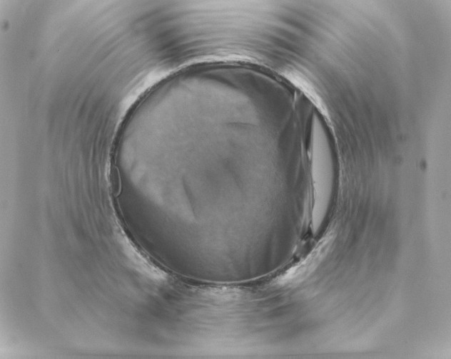 X0000088200797200706051230