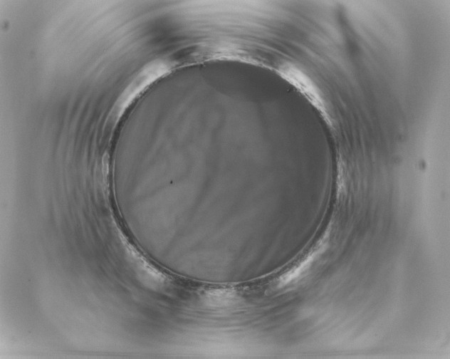 X0000088200798200706051230