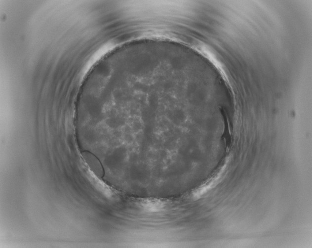 X0000088200799200706051230