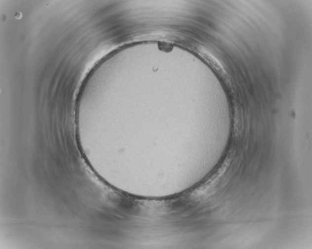 X0000088200800200706051230