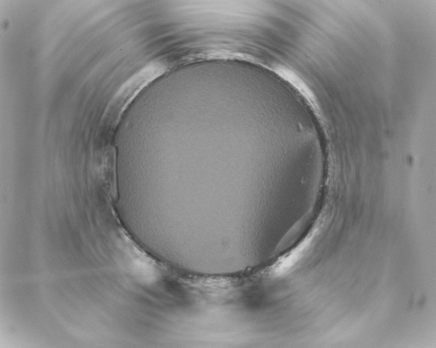 X0000088200801200706051230