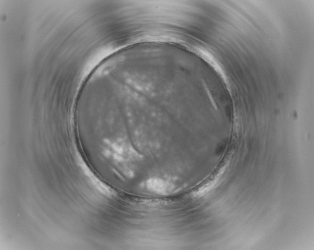 X0000088200803200706051230