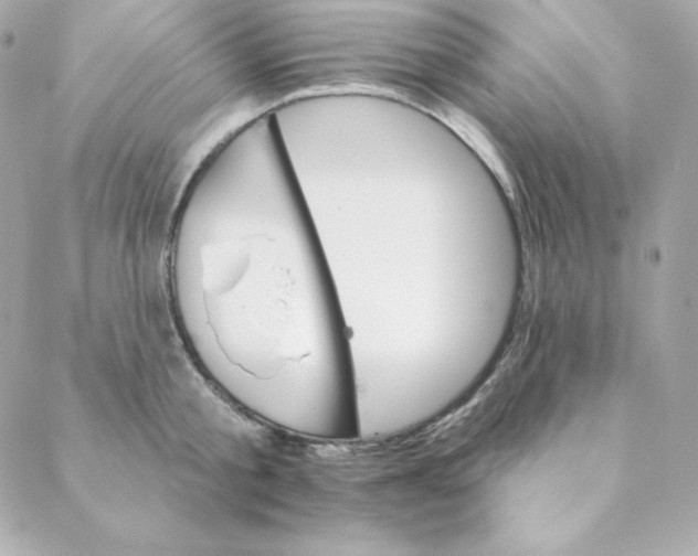 X0000088200805200706051230