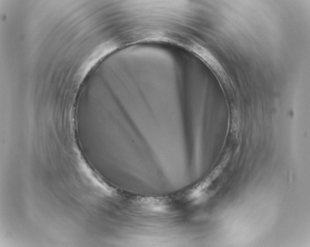 X0000088200806200706051230