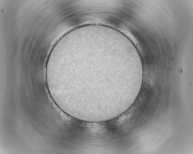 X0000088200807200706051230