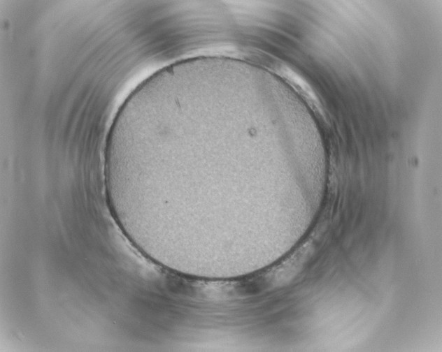 X0000088200808200706051230