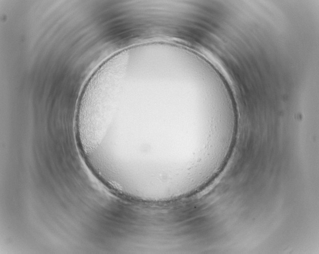 X0000088200810200706051230