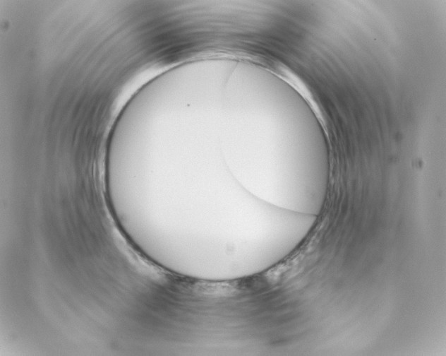 X0000088200811200706051230