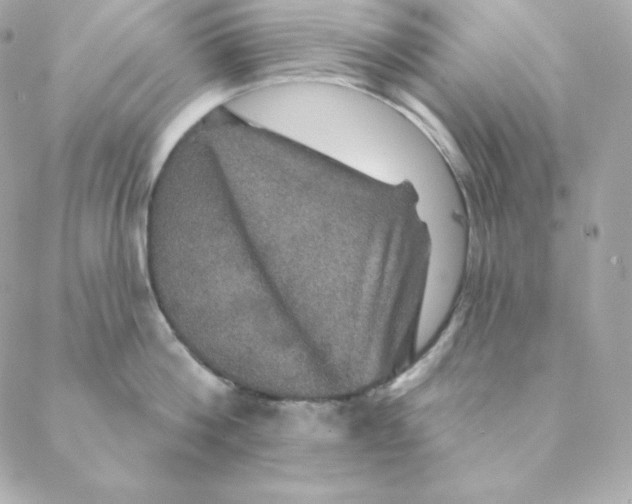 X0000088200812200706051230