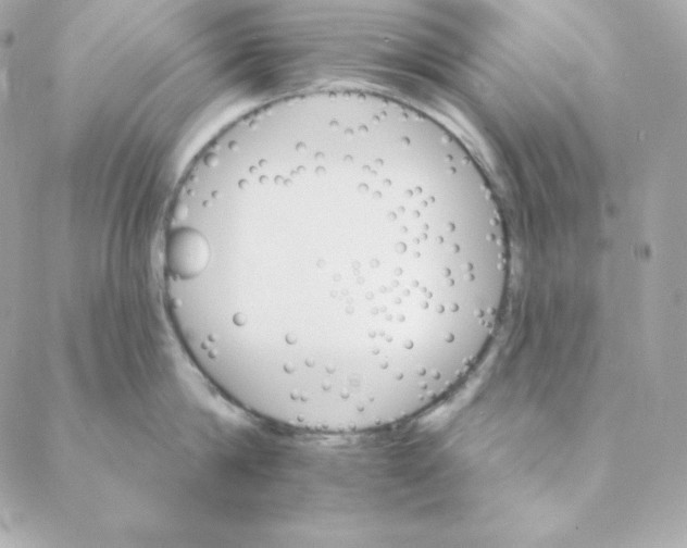 X0000088200814200706051230