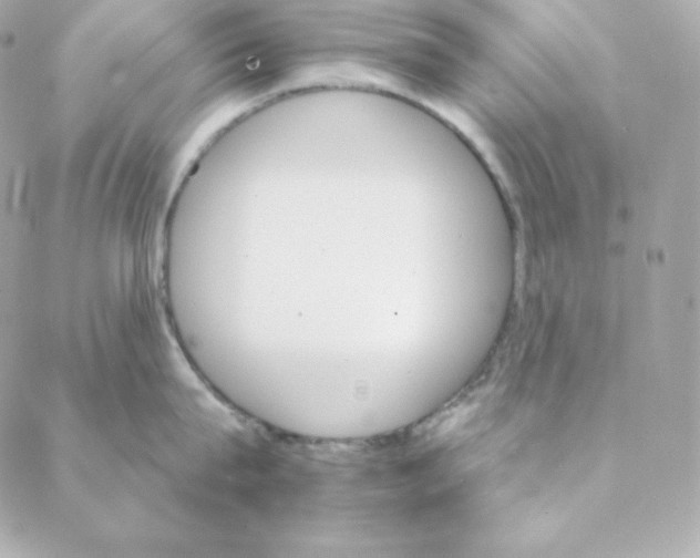 X0000088200815200706051230