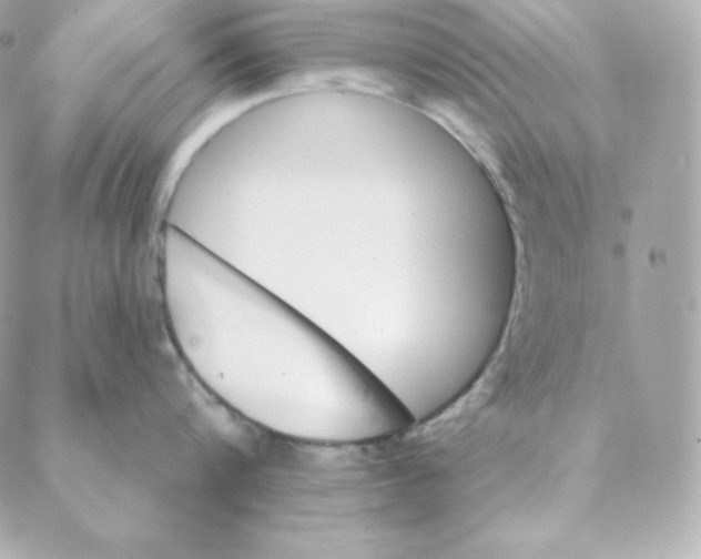 X0000088200816200706051230