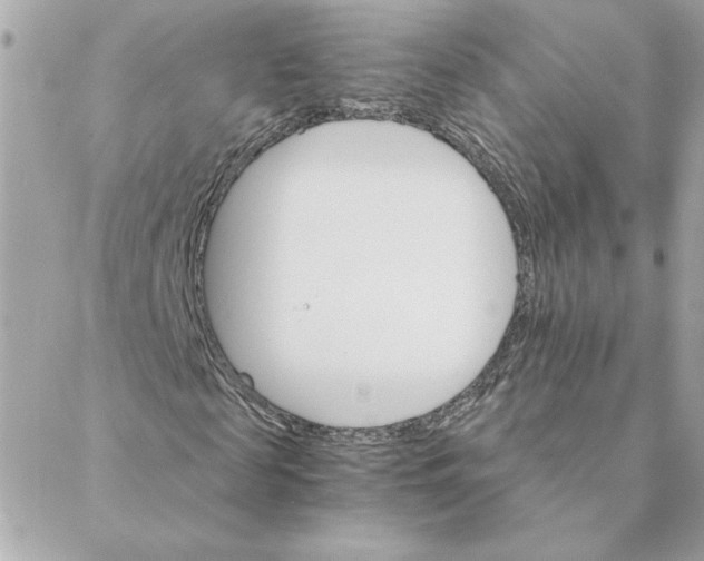 X0000088200817200706051229