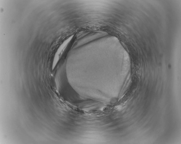 X0000088200818200706051229