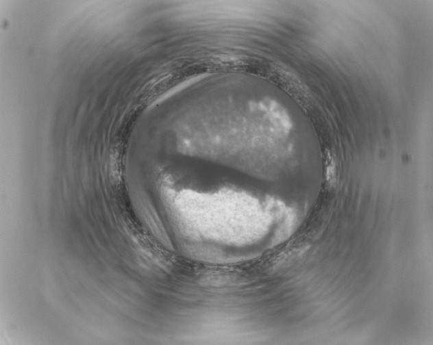 X0000088200819200706051229