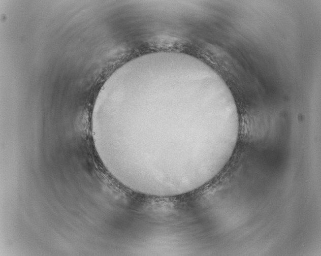 X0000088200820200706051229