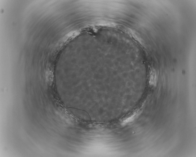 X0000088200821200706051229