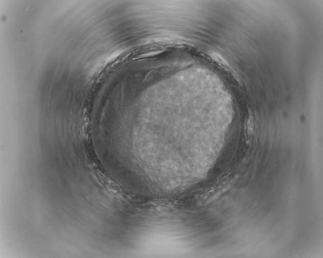 X0000088200822200706051229