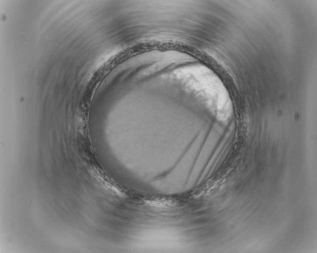 X0000088200823200706051229