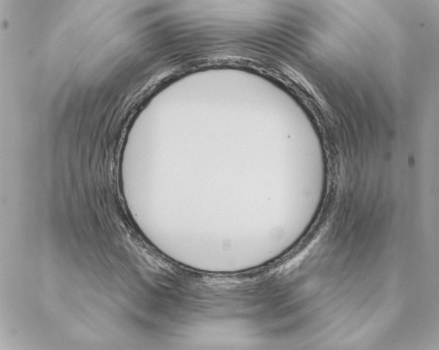 X0000088200825200706051229