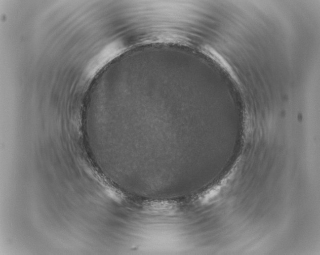 X0000088200826200706051229